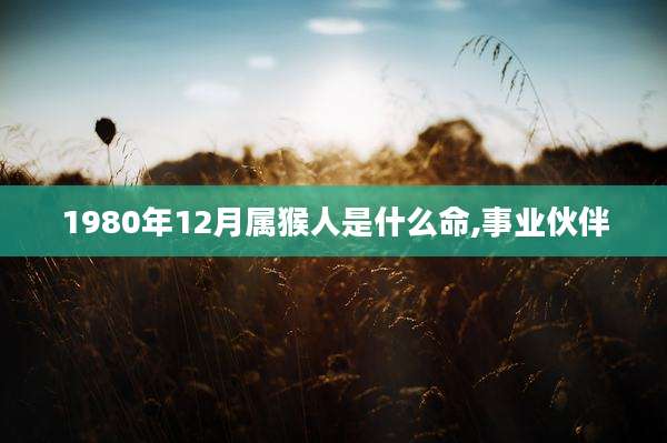 1980年12月属猴人是什么命,事业伙伴