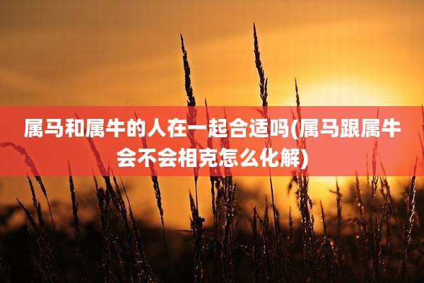 属马和属牛的人在一起合适吗(属马跟属牛会不会相克怎么化解)