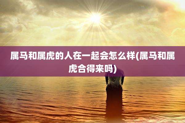 属马和属虎的人在一起会怎么样(属马和属虎合得来吗)