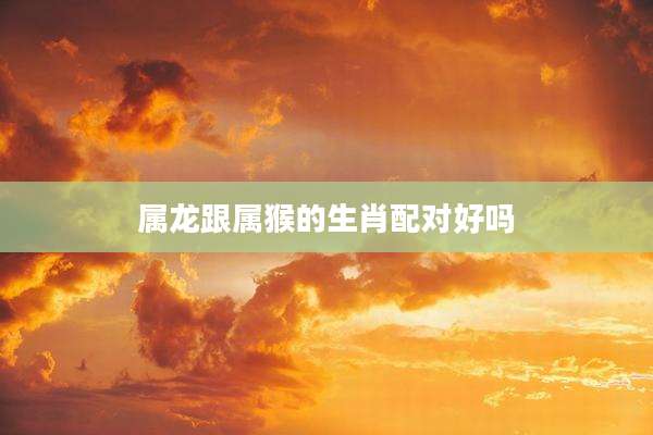 属龙跟属猴的生肖配对好吗