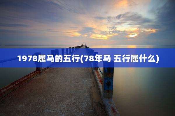 1978属马的五行(78年马 五行属什么)