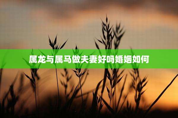 属龙与属马做夫妻好吗婚姻如何