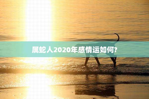 属蛇人2020年感情运如何?