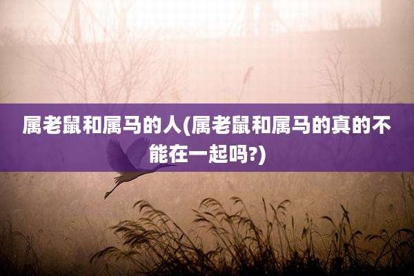 属老鼠和属马的人(属老鼠和属马的真的不能在一起吗?)
