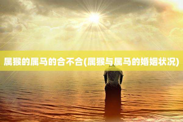 属猴的属马的合不合(属猴与属马的婚姻状况)