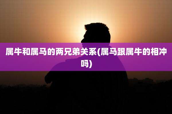 属牛和属马的两兄弟关系(属马跟属牛的相冲吗)