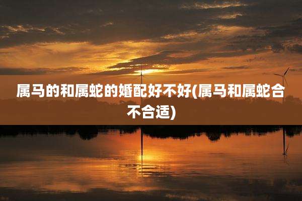 属马的和属蛇的婚配好不好(属马和属蛇合不合适)