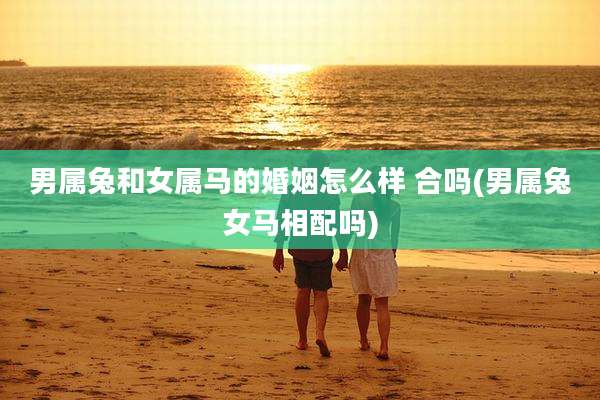 男属兔和女属马的婚姻怎么样 合吗(男属兔女马相配吗)