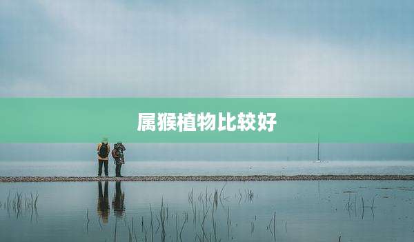 属猴植物比较好