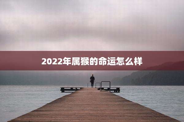 2022年属猴的命运怎么样