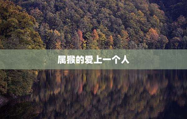 属猴的爱上一个人