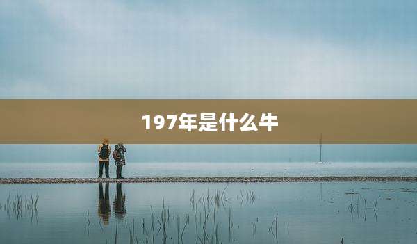 197年是什么牛
