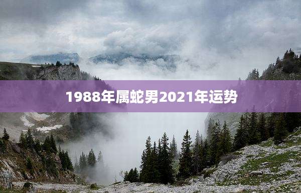 1988年属蛇男2021年运势