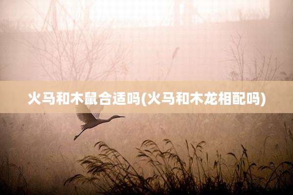 火马和木鼠合适吗(火马和木龙相配吗)