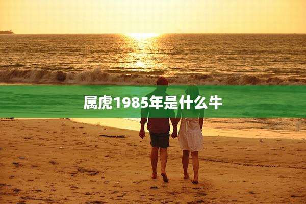 属虎1985年是什么牛