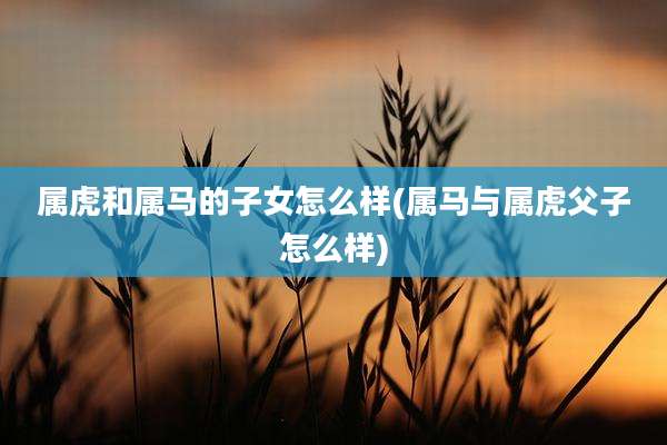属虎和属马的子女怎么样(属马与属虎父子怎么样)