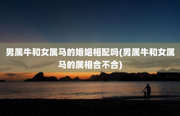 男属牛和女属马的婚姻相配吗(男属牛和女属马的属相合不合)