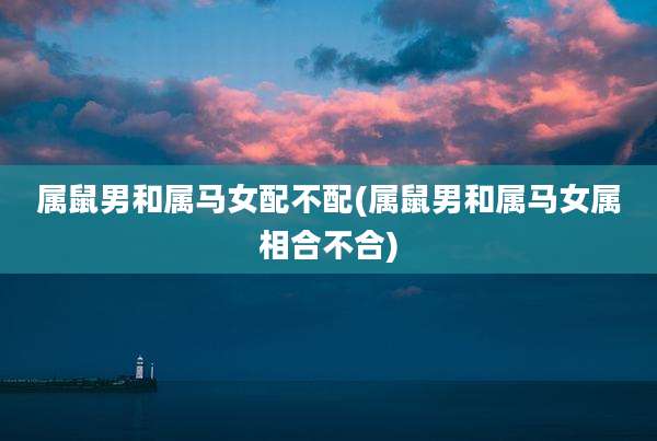 属鼠男和属马女配不配(属鼠男和属马女属相合不合)