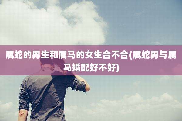 属蛇的男生和属马的女生合不合(属蛇男与属马婚配好不好)