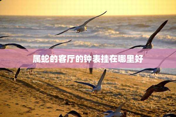 属蛇的客厅的钟表挂在哪里好