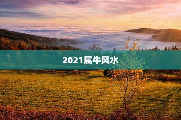 2021属牛风水