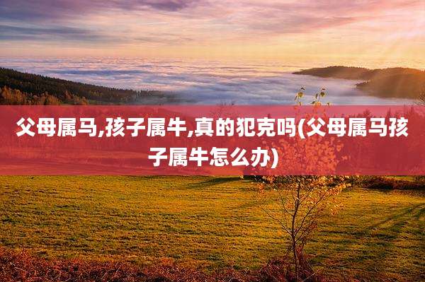 父母属马,孩子属牛,真的犯克吗(父母属马孩子属牛怎么办)