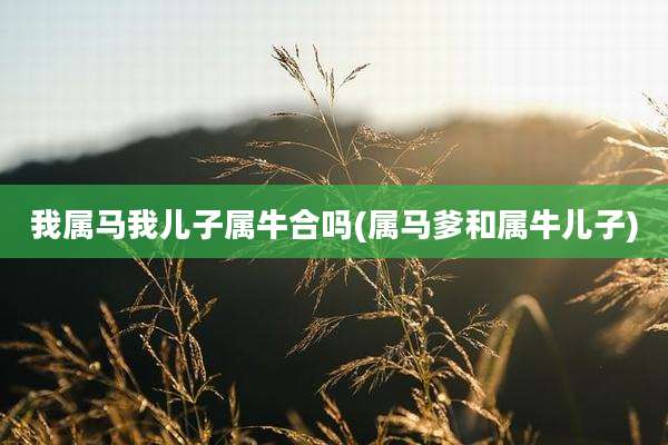 我属马我儿子属牛合吗(属马爹和属牛儿子)