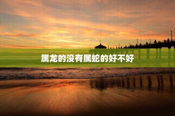 属龙的没有属蛇的好不好