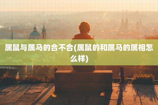 属鼠与属马的合不合(属鼠的和属马的属相怎么样)