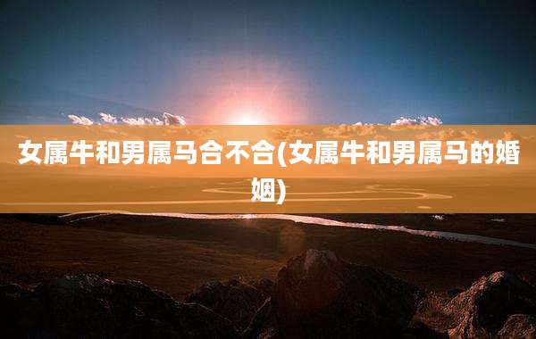 女属牛和男属马合不合(女属牛和男属马的婚姻)