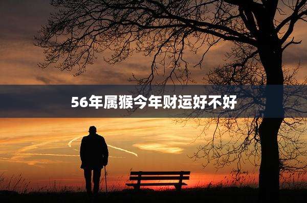 56年属猴今年财运好不好