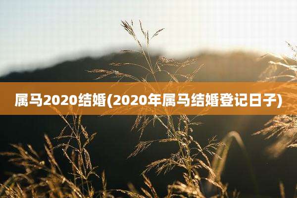 属马2020结婚(2020年属马结婚登记日子)
