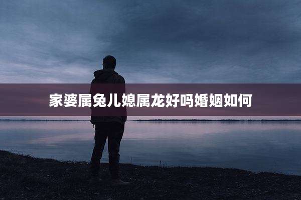 家婆属兔儿媳属龙好吗婚姻如何