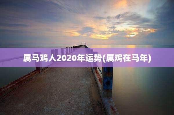 属马鸡人2020年运势(属鸡在马年)