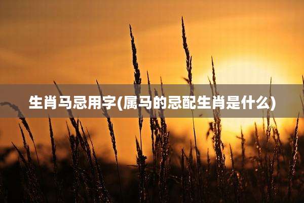 生肖马忌用字(属马的忌配生肖是什么)