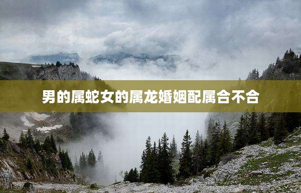 男的属蛇女的属龙婚姻配属合不合