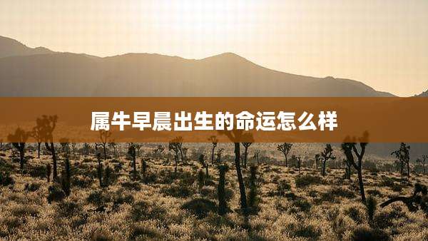 属牛早晨出生的命运怎么样