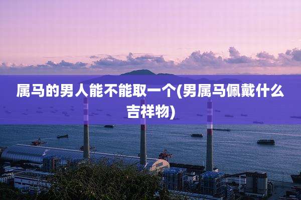 属马的男人能不能取一个(男属马佩戴什么吉祥物)