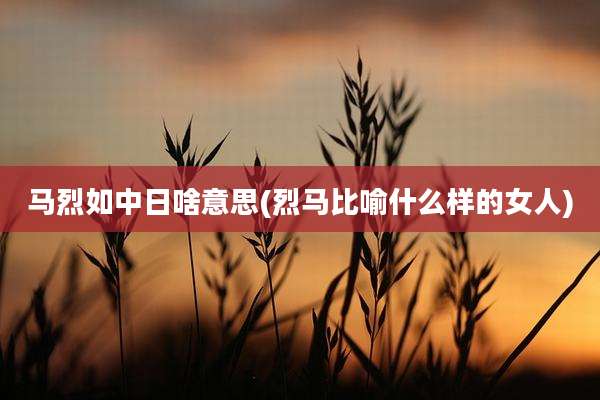 马烈如中日啥意思(烈马比喻什么样的女人)