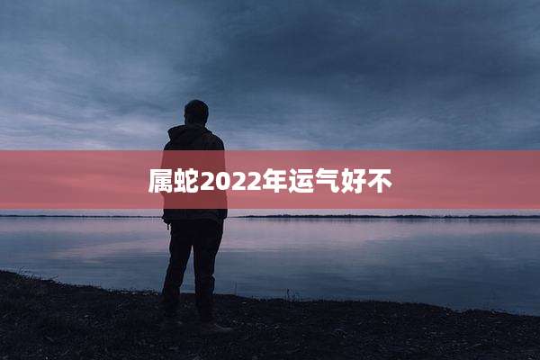 属蛇2022年运气好不