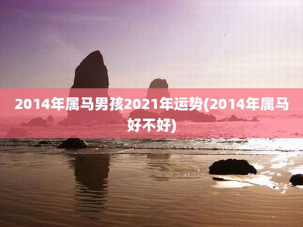2014年属马男孩2021年运势(2014年属马好不好)