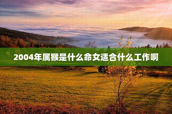2004年属猴是什么命女适合什么工作啊