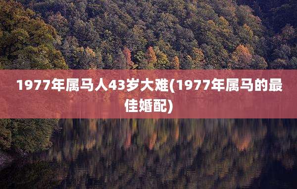 1977年属马人43岁大难(1977年属马的最佳婚配)
