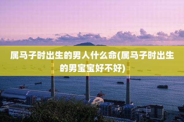 属马子时出生的男人什么命(属马子时出生的男宝宝好不好)