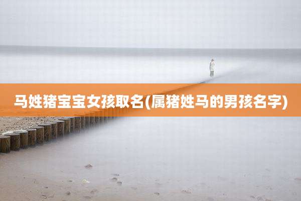 马姓猪宝宝女孩取名(属猪姓马的男孩名字)
