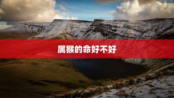 属猴的命好不好