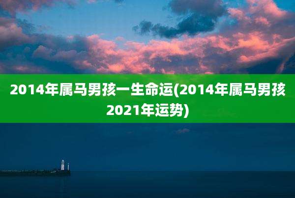 2014年属马男孩一生命运(2014年属马男孩2021年运势)