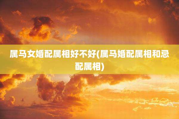 属马女婚配属相好不好(属马婚配属相和忌配属相)