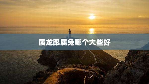 属龙跟属兔哪个大些好