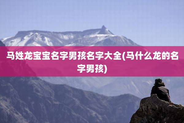 马姓龙宝宝名字男孩名字大全(马什么龙的名字男孩)
